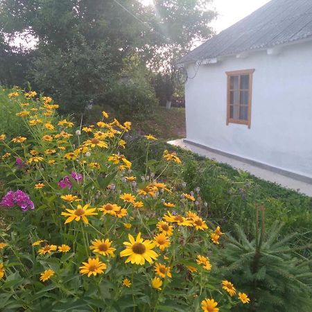 Соколине Гніздо Villa Dmitrenki Luaran gambar