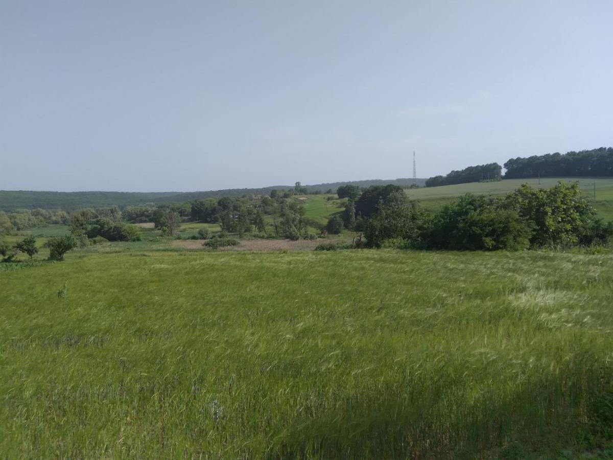 Соколине Гніздо Villa Dmitrenki Luaran gambar