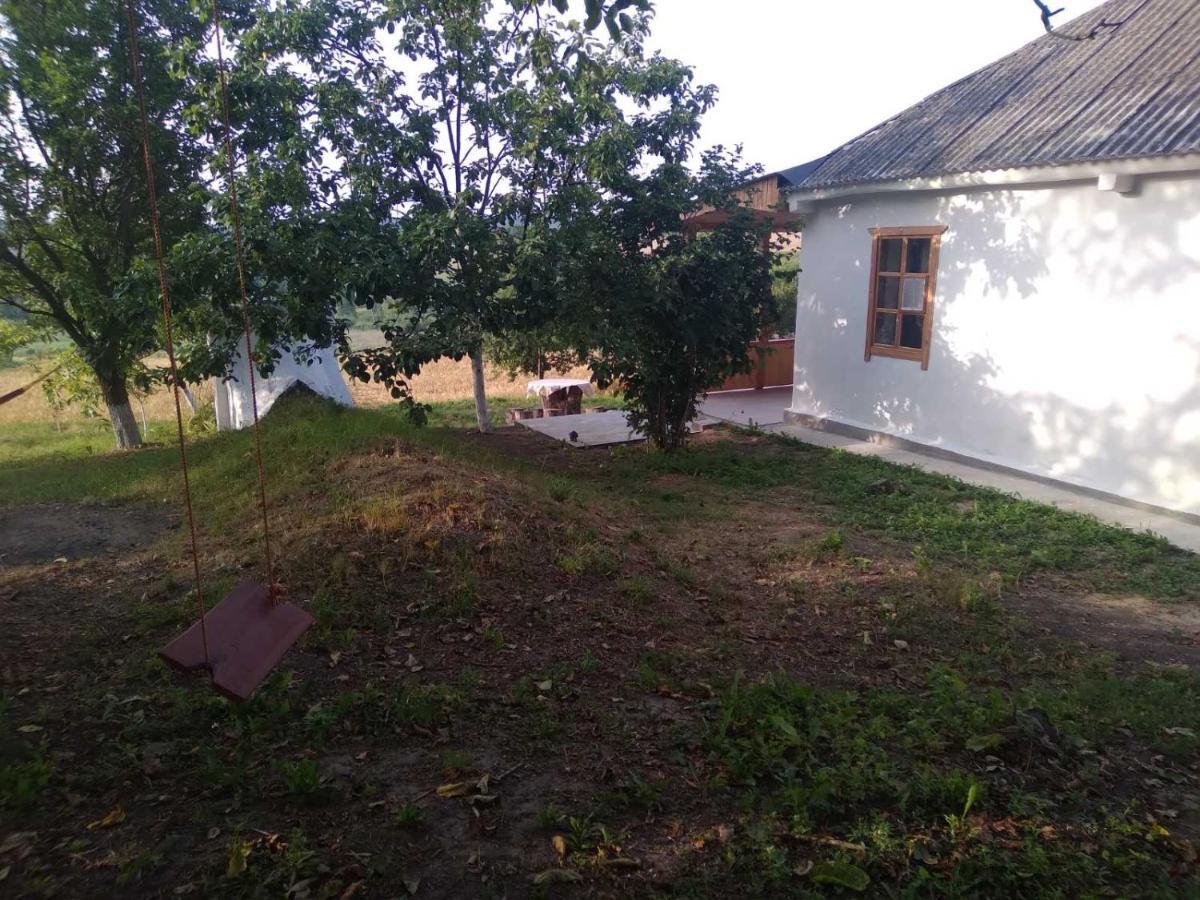 Соколине Гніздо Villa Dmitrenki Luaran gambar