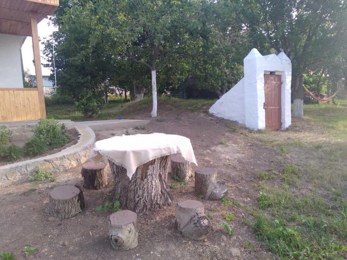 Соколине Гніздо Villa Dmitrenki Luaran gambar