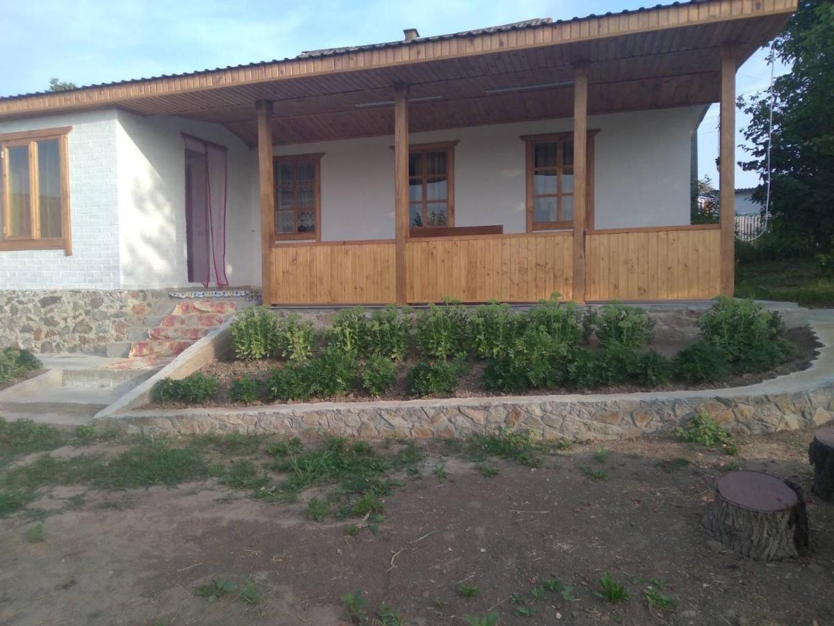 Соколине Гніздо Villa Dmitrenki Luaran gambar
