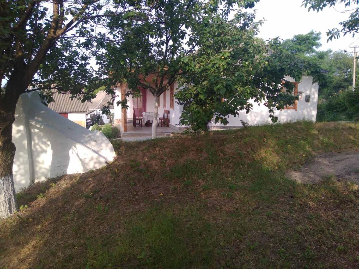 Соколине Гніздо Villa Dmitrenki Luaran gambar