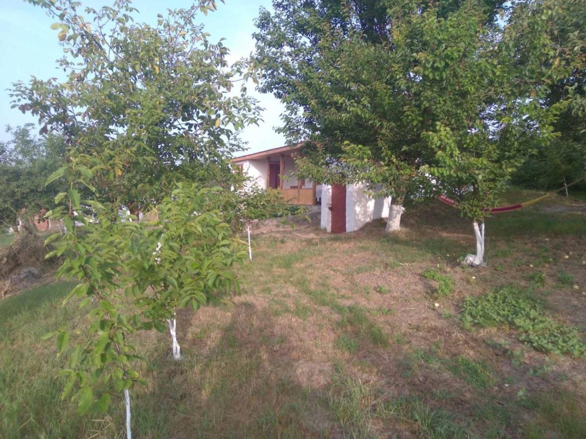 Соколине Гніздо Villa Dmitrenki Luaran gambar